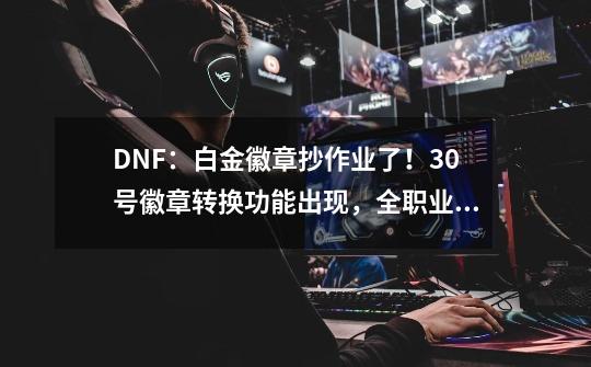 DNF：白金徽章抄作业了！30号徽章转换功能出现，全职业镶嵌一览-第1张-游戏信息-泓泰