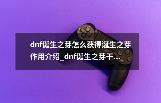 dnf诞生之芽怎么获得?诞生之芽作用介绍_dnf诞生之芽干嘛的-第1张-游戏信息-泓泰