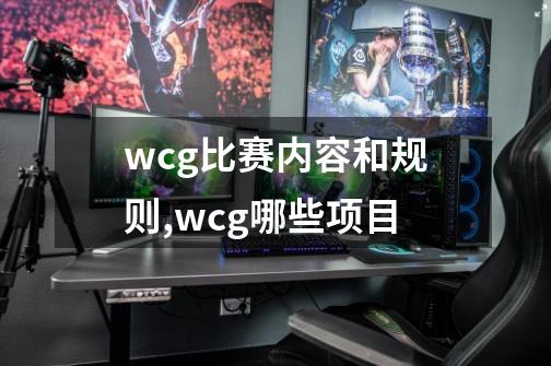 wcg比赛内容和规则,wcg哪些项目-第1张-游戏信息-泓泰