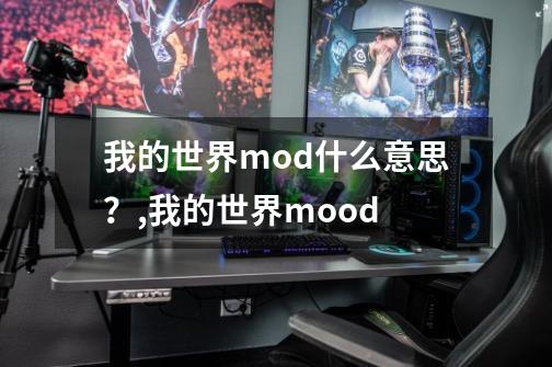 我的世界mod什么意思？,我的世界mood-第1张-游戏信息-泓泰