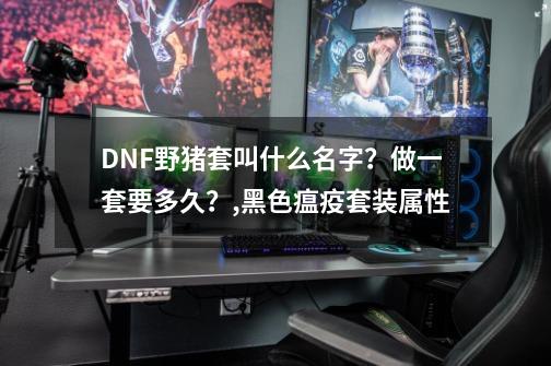 DNF野猪套叫什么名字？做一套要多久？,黑色瘟疫套装属性-第1张-游戏信息-泓泰