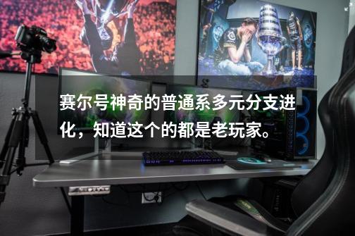 赛尔号神奇的普通系多元分支进化，知道这个的都是老玩家。-第1张-游戏信息-泓泰