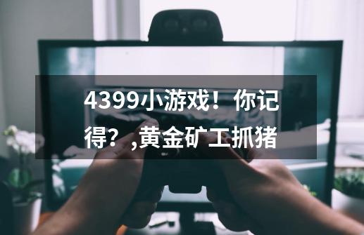 4399小游戏！你记得？,黄金矿工抓猪-第1张-游戏信息-泓泰