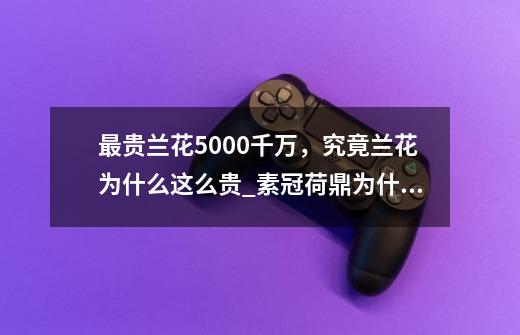 最贵兰花5000千万，究竟兰花为什么这么贵_素冠荷鼎为什么那么难养-第1张-游戏信息-泓泰