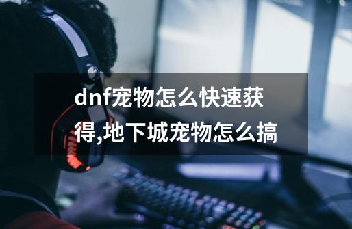 dnf宠物怎么快速获得,地下城宠物怎么搞-第1张-游戏信息-泓泰