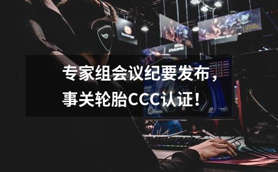 专家组会议纪要发布，事关轮胎CCC认证！-第1张-游戏信息-泓泰