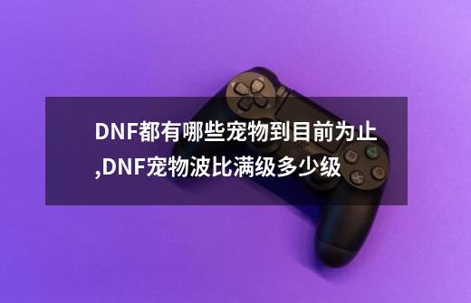 DNF都有哪些宠物?到目前为止,DNF宠物波比满级多少级-第1张-游戏信息-泓泰