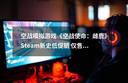 空战模拟游戏《空战使命：雌鹿》Steam新史低促销 仅售13元-第1张-游戏信息-泓泰