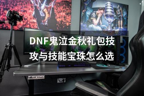 DNF鬼泣金秋礼包技攻与技能宝珠怎么选-第1张-游戏信息-泓泰