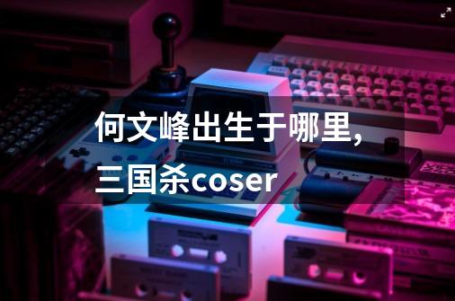 何文峰出生于哪里,三国杀coser-第1张-游戏信息-泓泰