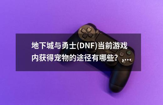 地下城与勇士(DNF)当前游戏内获得宠物的途径有哪些？,DNF怎么获得宠物装备-第1张-游戏信息-泓泰