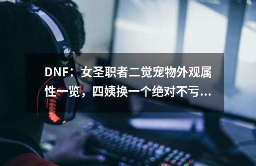 DNF：女圣职者二觉宠物外观属性一览，四姨换一个绝对不亏！-第1张-游戏信息-泓泰