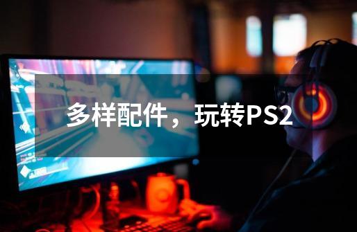 多样配件，玩转PS2-第1张-游戏信息-泓泰