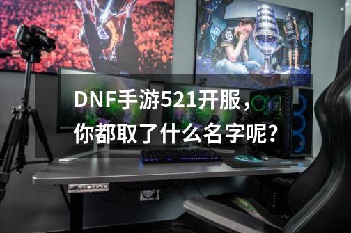 DNF手游5.21开服，你都取了什么名字呢？-第1张-游戏信息-泓泰