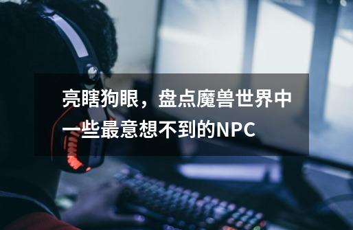 亮瞎狗眼，盘点魔兽世界中一些最意想不到的NPC-第1张-游戏信息-泓泰