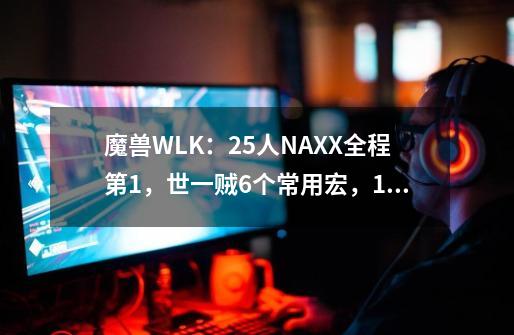 魔兽WLK：25人NAXX全程第1，世一贼6个常用宏，1键切换天赋和武器-第1张-游戏信息-泓泰