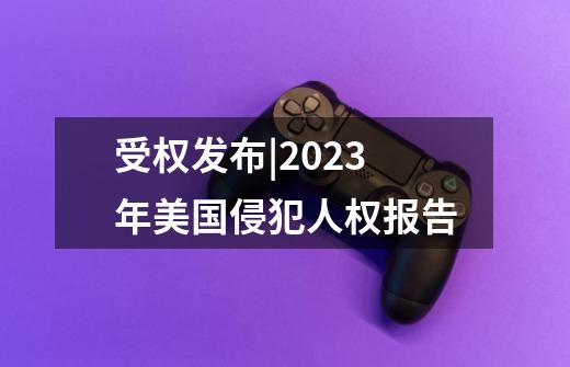 受权发布|2023年美国侵犯人权报告-第1张-游戏信息-泓泰