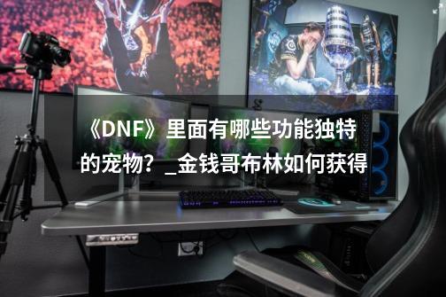 《DNF》里面有哪些功能独特的宠物？_金钱哥布林如何获得-第1张-游戏信息-泓泰