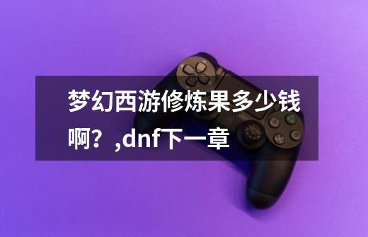 梦幻西游修炼果多少钱啊？,dnf下一章-第1张-游戏信息-泓泰