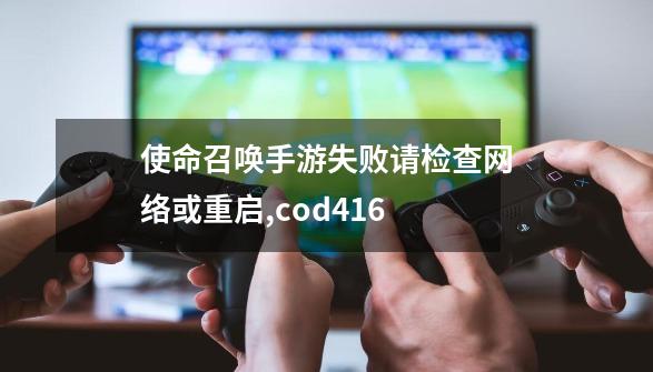 使命召唤手游失败请检查网络或重启?,cod416-第1张-游戏信息-泓泰