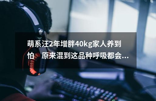 萌系汪2年增胖40kg家人养到怕　原来混到这品种呼吸都会胖-第1张-游戏信息-泓泰