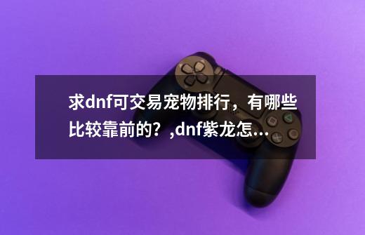 求dnf可交易宠物排行，有哪些比较靠前的？,dnf紫龙怎么获得-第1张-游戏信息-泓泰