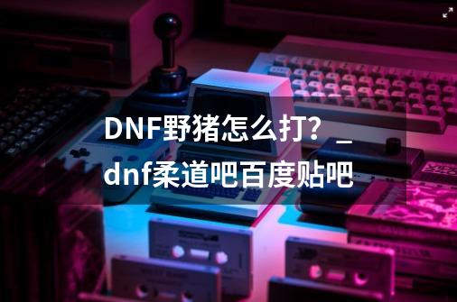 DNF野猪怎么打？_dnf柔道吧百度贴吧-第1张-游戏信息-泓泰