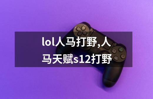 lol人马打野,人马天赋s12打野-第1张-游戏信息-泓泰