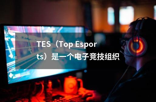 TES（Top Esports）是一个电子竞技组织-第1张-游戏信息-泓泰