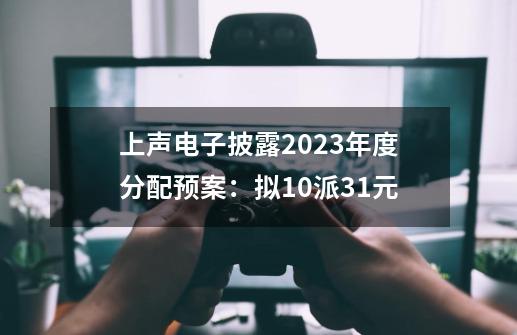 上声电子披露2023年度分配预案：拟10派3.1元-第1张-游戏信息-泓泰