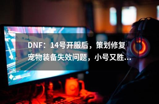 DNF：14号开服后，策划修复宠物装备失效问题，小号又胜利了-第1张-游戏信息-泓泰