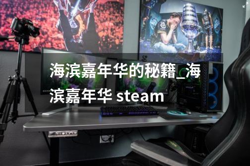 海滨嘉年华的秘籍_海滨嘉年华 steam-第1张-游戏信息-泓泰