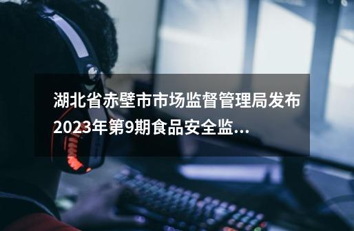 湖北省赤壁市市场监督管理局发布2023年第9期食品安全监督抽检信息-第1张-游戏信息-泓泰