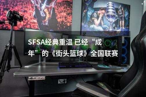 SFSA经典重温 已经“成年”的《街头篮球》全国联赛-第1张-游戏信息-泓泰