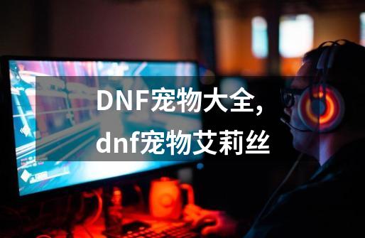 DNF宠物大全,dnf宠物艾莉丝-第1张-游戏信息-泓泰