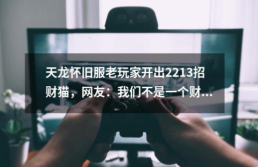 天龙怀旧服老玩家开出2213招财猫，网友：我们不是一个财富卡？-第1张-游戏信息-泓泰