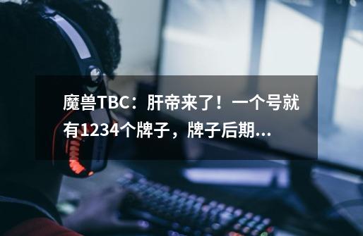 魔兽TBC：肝帝来了！一个号就有1234个牌子，牌子后期真的无用？-第1张-游戏信息-泓泰