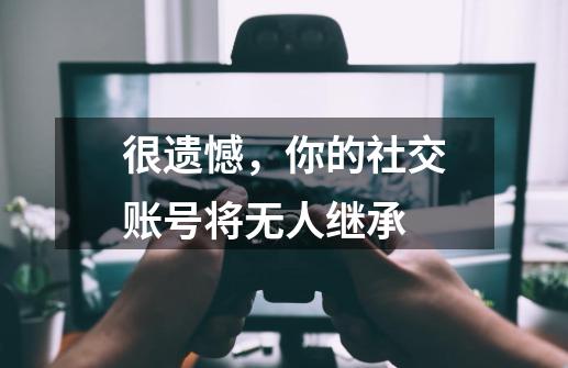 很遗憾，你的社交账号将无人继承-第1张-游戏信息-泓泰