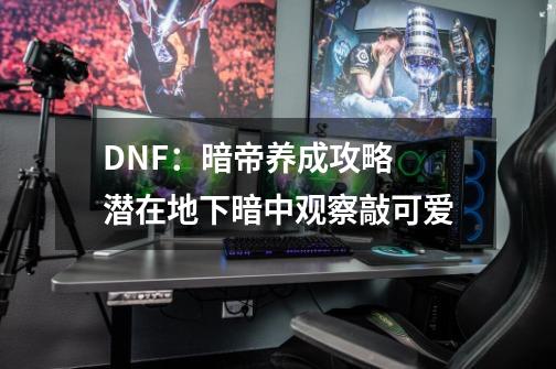 DNF：暗帝养成攻略 潜在地下暗中观察敲可爱-第1张-游戏信息-泓泰